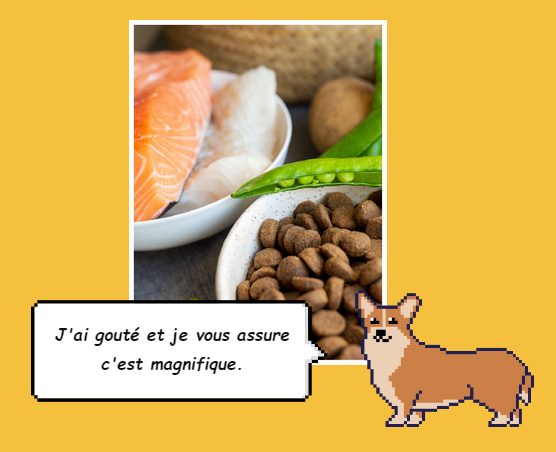 1 an de croquettes pour chien Japhy