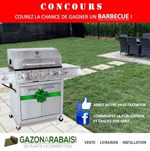 Concours Québec – Barbecue Livré Directement Chez Vous