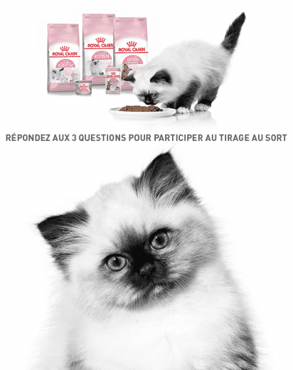Concours France – 20 Lots De 1 Mois D’alimentation Pour Chaton