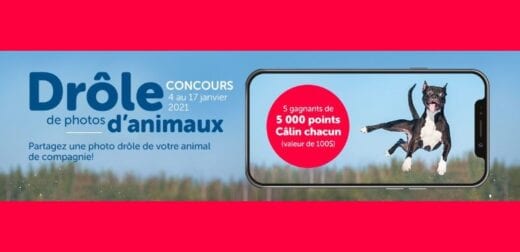 CONCOURS DRÔLES DE PHOTOS D’ANIMAUX DE MONDOU!