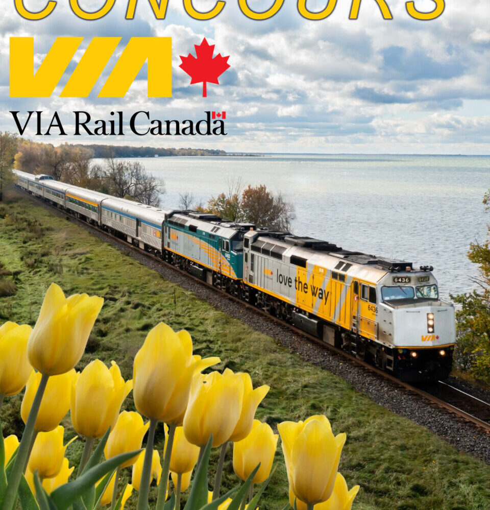 article-cover